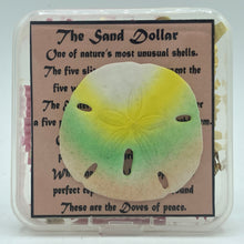 Load image into Gallery viewer, Sand Dollar Charm, Small
