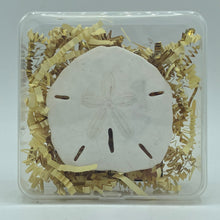 Load image into Gallery viewer, Sand Dollar Charm, Large