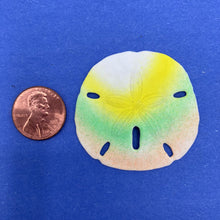 Load image into Gallery viewer, Sand Dollar Charm, Small
