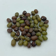 Load image into Gallery viewer, Mung Bean
