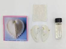 Load image into Gallery viewer, Shell Spell

